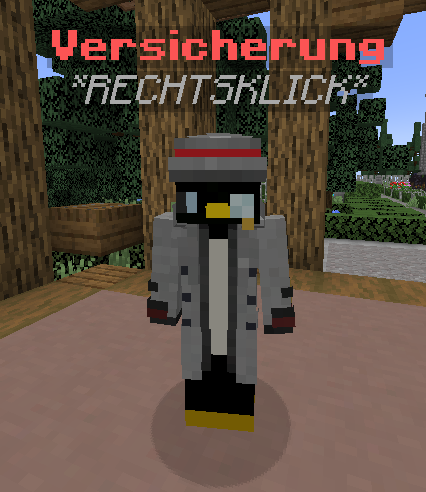 Der Versicherungs NPC am Spawn.
