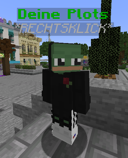 'Deine Plots' NPC am Spawn.